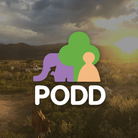 Set up disease surveillance system for remote areas